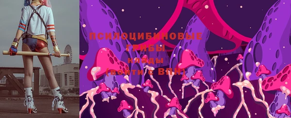 ALPHA PVP Бородино