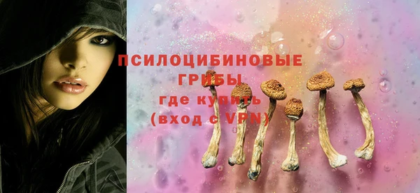 ALPHA PVP Бородино